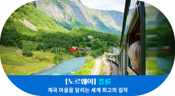 [노르웨이] 플롬