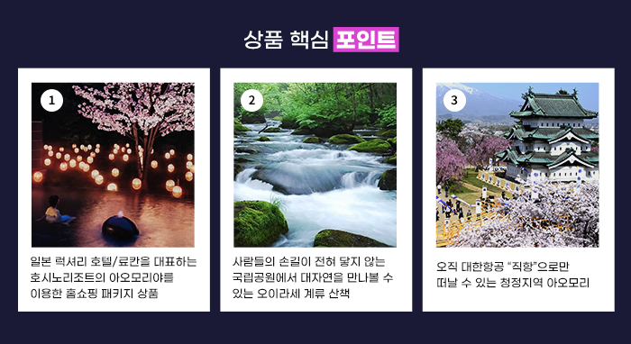 상품 핵심 포인트